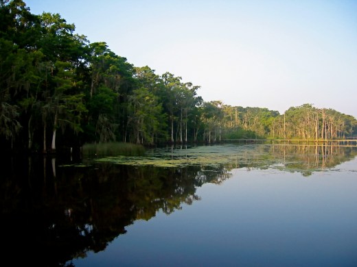 County Dock, St. John's River, Jacksonville, FL