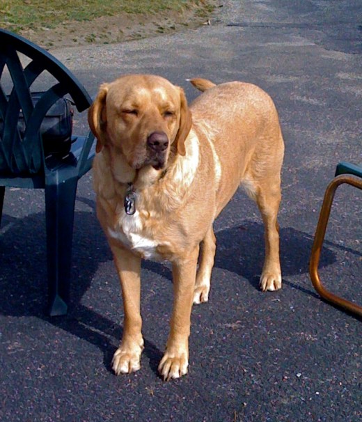 Guardian of the Range